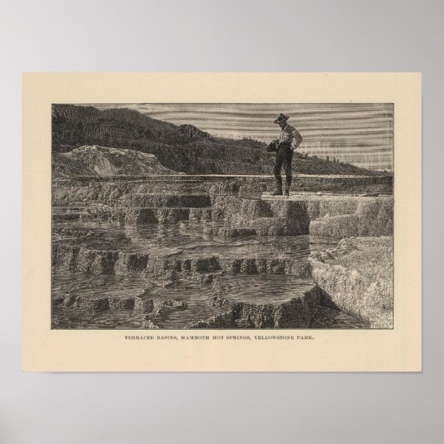 Poster Vue Mammoth Hot Springs (Devant)