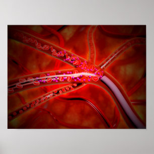 Poster Vue microscopique de la médecine étant injectée