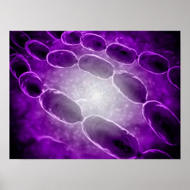 Poster Vue Microscopique De La Pneumonie Bactérienne 2 (Devant)