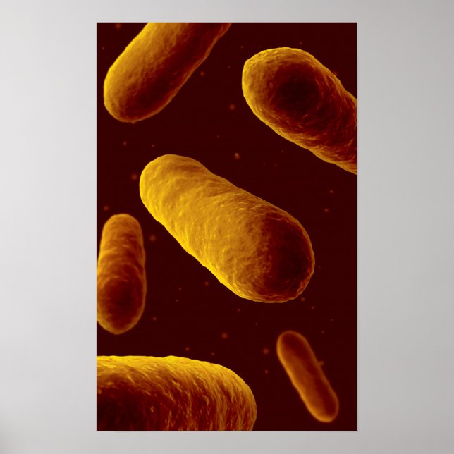 Poster Vue Microscopique Des Bactéries 3 (Devant)