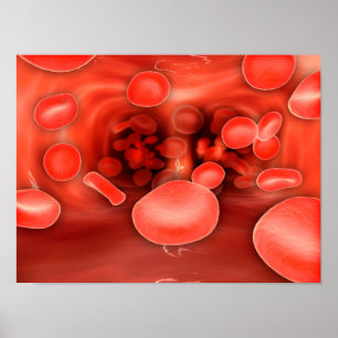 Poster Vue Microscopique Des Cellules De Sang Rouge Qui S