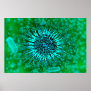 Poster Vue Microscopique Des Dendrimers 3