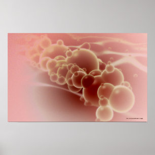 Poster Vue microscopique des microsphères de latex