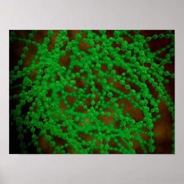 Poster Vue Microscopique Du Bactérie Cocci (Devant)