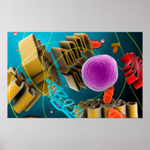 Poster Vue Microscopique Du Noyau Des Cellules Animales