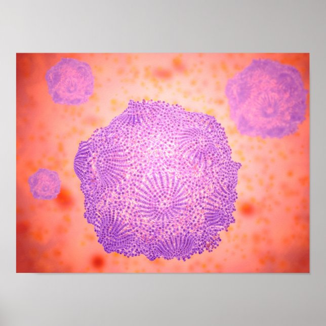 Poster Vue Microscopique Du Parvovirus Canin 2 (Devant)