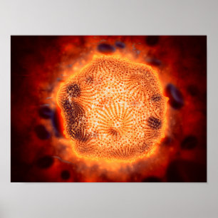 Poster Vue Microscopique Du Parvovirus Canin 4