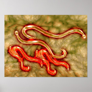 Poster Vue Microscopique Du Vin À Coin 1