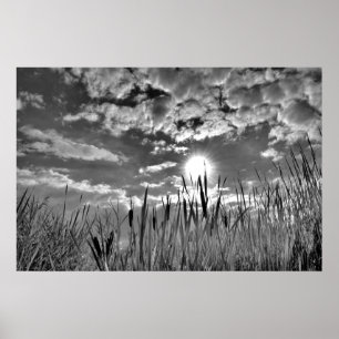 Poster Vue oeil de canard