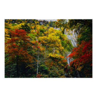 Poster Vue pittoresque de l'automne Hagoromo Falls Hokkai