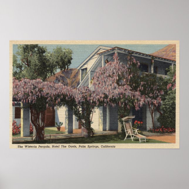 Poster Vue sur la Wisteria Pergola, Oasis Hotel (Devant)