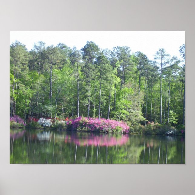 Poster Vue sur le lac (Devant)