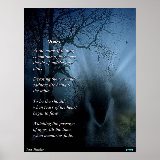 Poster Vues (Devant)