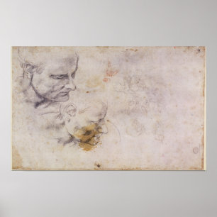 Poster W.60 Croquis d'une tête mâle, en deux positions