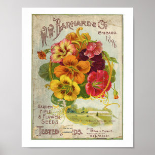 Poster W.W Barnard & Co Garden, Field & Flower Seed 1896