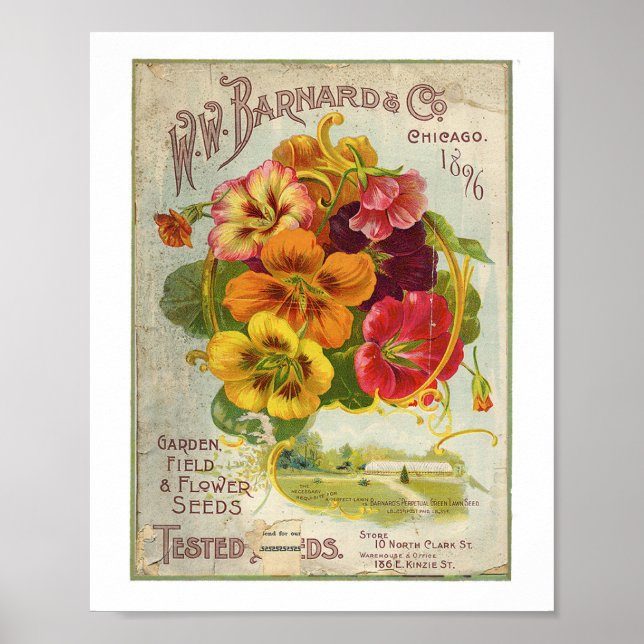 Poster W.W Barnard & Co Garden, Field & Flower Seed 1896 (Devant)