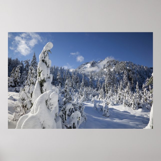 Poster WA, Alpine Lakes Wilderness, bassin du lac des nei (Devant)