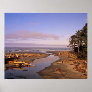 Poster WA, Olympic NP, Kalaloch Beach and Kalaloch