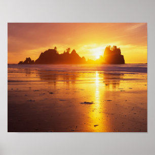 Poster WA, parc national Olympique, plage Shi Shi au couc