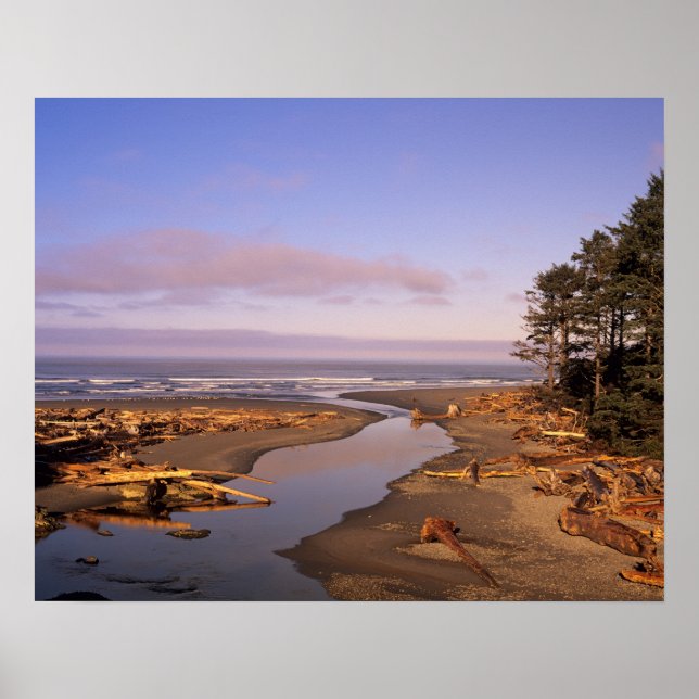 Poster WA, Pôle olympique, Kalaloch Beach et Kalaloch (Devant)
