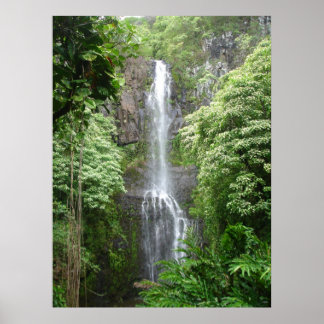 Poster Waimea Falls, Hana, Maui, Hawaii