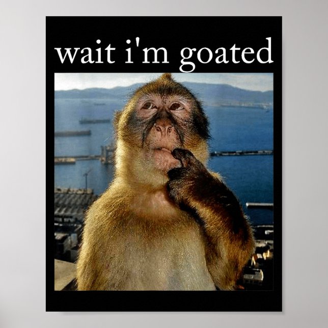 Poster Wait I'm Goated Funny Thinking Monkey Meme Brainro (Devant)