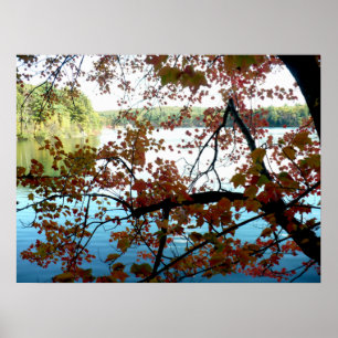 Poster Walden Pond à travers les feuilles d'automne
