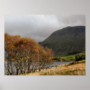 POSTER WALES