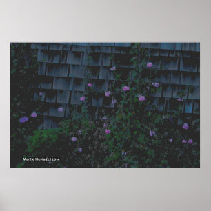 Poster Wallfleurs