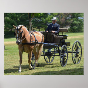 Poster Walnut Hill Carriage Driving Horse Show