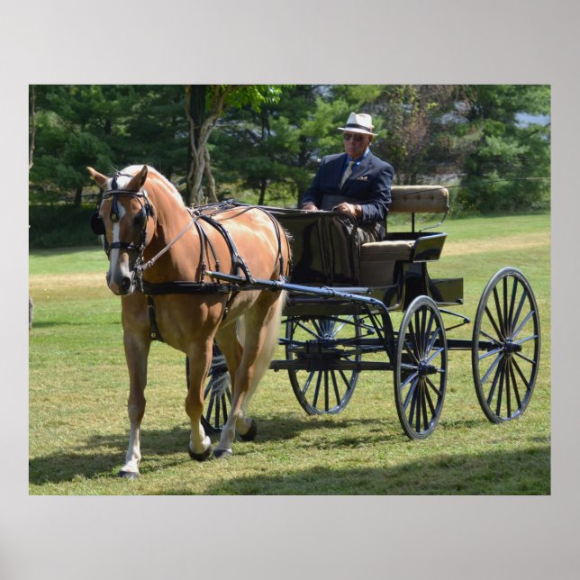 Poster Walnut Hill Carriage Driving Horse Show (Devant)