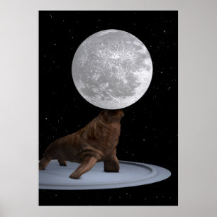 Poster Walrus Équilibrer La Lune