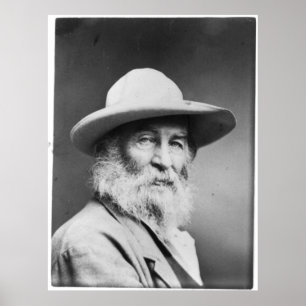 Poster Walt Whitman Portrait alias The Quaker Photo