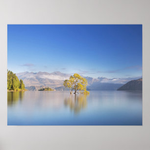 Poster Wanaka Tree Nouvelle-Zélande Paysage Photographie