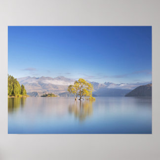 Poster Wanaka Tree Nouvelle-Zélande Paysage Photographie