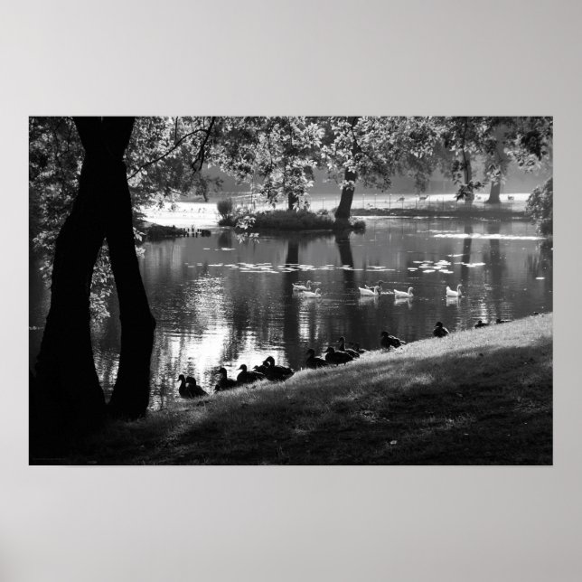 Poster Wapa Park Life (Devant)