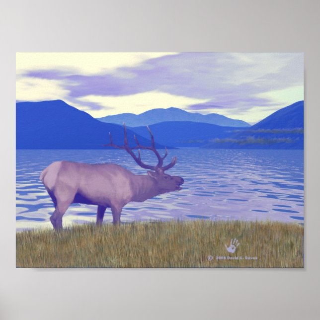 Poster Wapiti (Elk) Sur Le Lac (Devant)