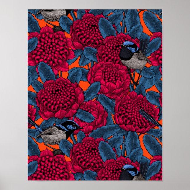 Poster Waratah rouge et brunes (Devant)