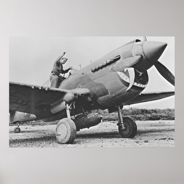 Poster Warhawk P40 1943 (Devant)