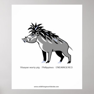 Poster Warthog -Warty PIG - Animal en voie de disparition