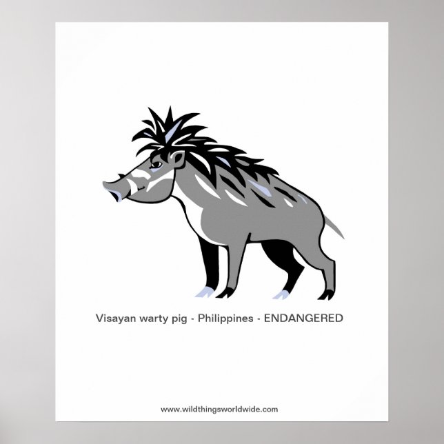 Poster Warthog -Warty PIG - Animal en voie de disparition (Devant)
