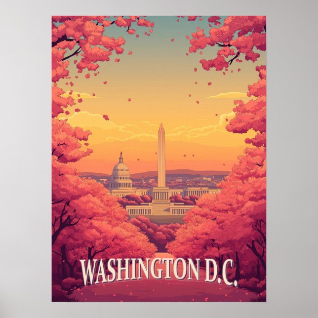 Poster Washington D.C. (Devant)