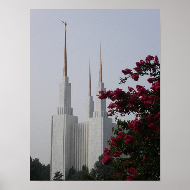 Poster Washington DC (Devant)