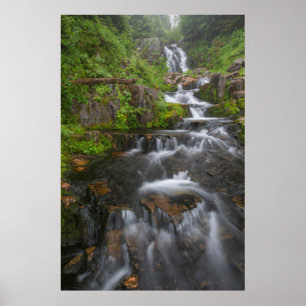 Poster Washington, Parc national du mont Rainier 2