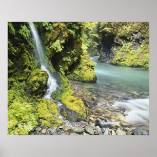 Poster Washington, Parc national Olympique, Saisonnière