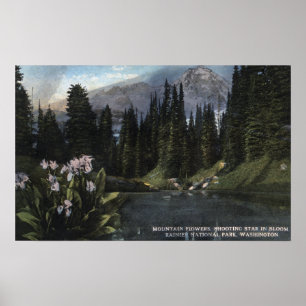 Poster Washington - Parc national Rainier, Sta de tir