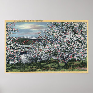 Poster Washington - Vue sur les pommiers en fleurs