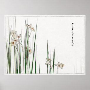Poster Watanabe Seitei Jonquil Illustration de Bijutsu
