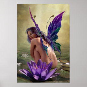 Poster Water Lily par J. Matthew Root