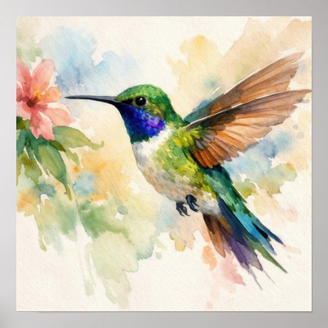 Poster Watercolor Hummingbird (Devant)